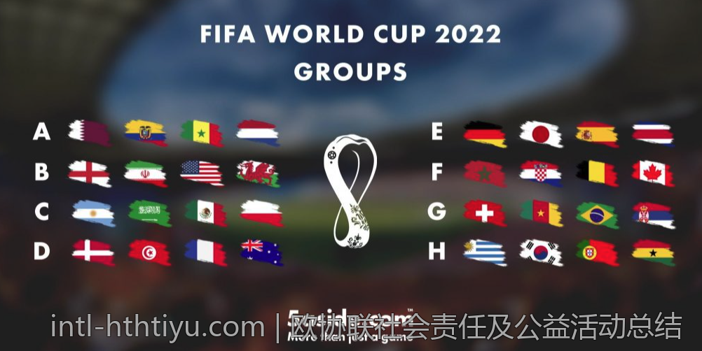 欧协联社会责任及公益活动总结